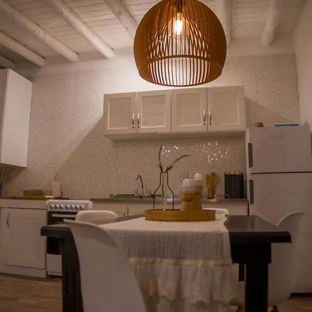 Complejo Willy Pampa Apartment Barreal Exterior photo